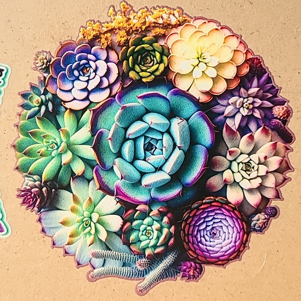 Succulent World 300 Pieces COMPLETE Wooden Jigsaw Puzzle Brother Sister